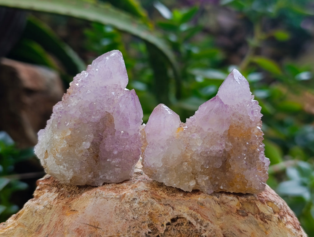 Natural Amethyst Spirit Quartz Clusters x 12 From Boekenhouthoek, South Africa - Toprock Gemstones and Minerals 
