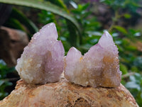 Natural Amethyst Spirit Quartz Clusters x 12 From Boekenhouthoek, South Africa