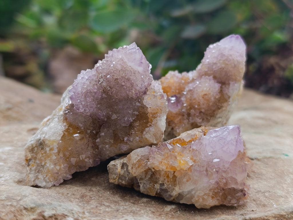Natural Amethyst Spirit Quartz Clusters x 12 From Boekenhouthoek, South Africa - Toprock Gemstones and Minerals 
