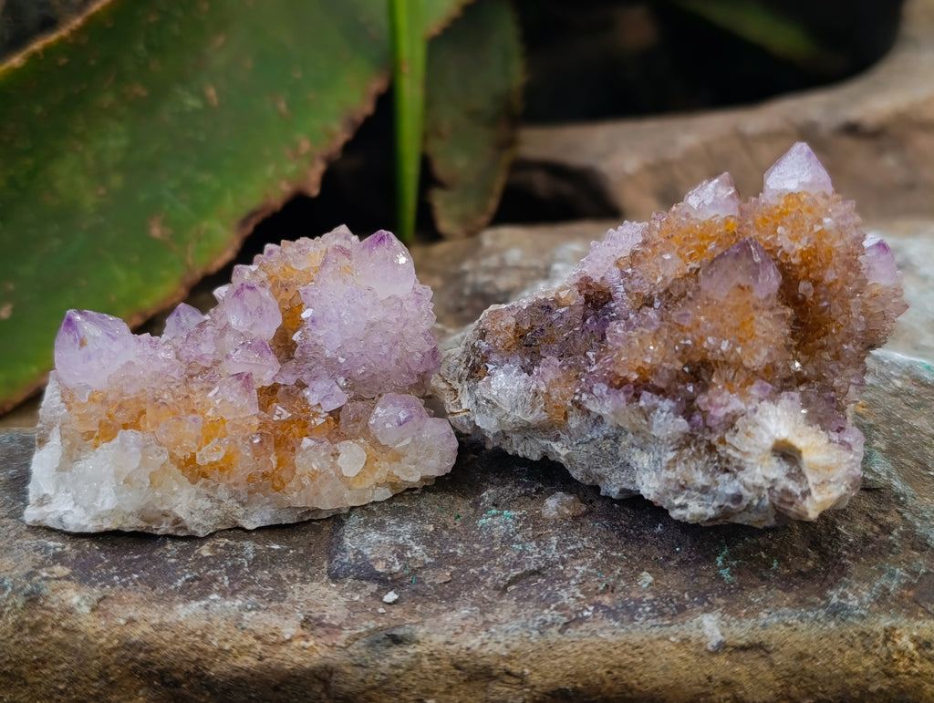 Natural Amethyst Spirit Quartz Clusters x 12 From Boekenhouthoek, South Africa - Toprock Gemstones and Minerals 