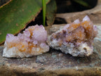 Natural Amethyst Spirit Quartz Clusters x 12 From Boekenhouthoek, South Africa - Toprock Gemstones and Minerals 