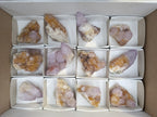 Natural Amethyst Spirit Quartz Clusters x 12 From Boekenhouthoek, South Africa - Toprock Gemstones and Minerals 