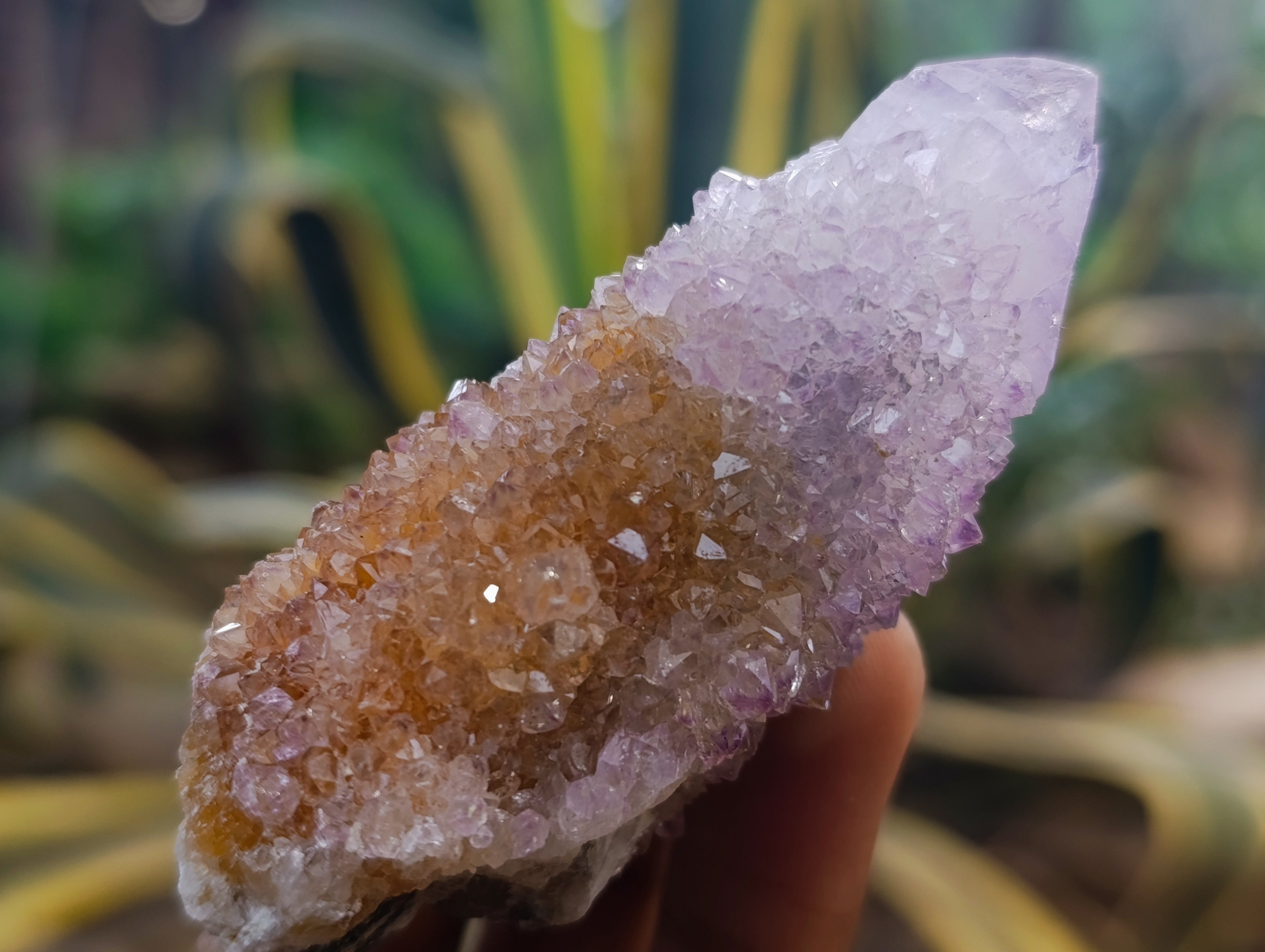 Natural Amethyst Spirit Quartz Clusters x 12 From Boekenhouthoek, South Africa - Toprock Gemstones and Minerals 