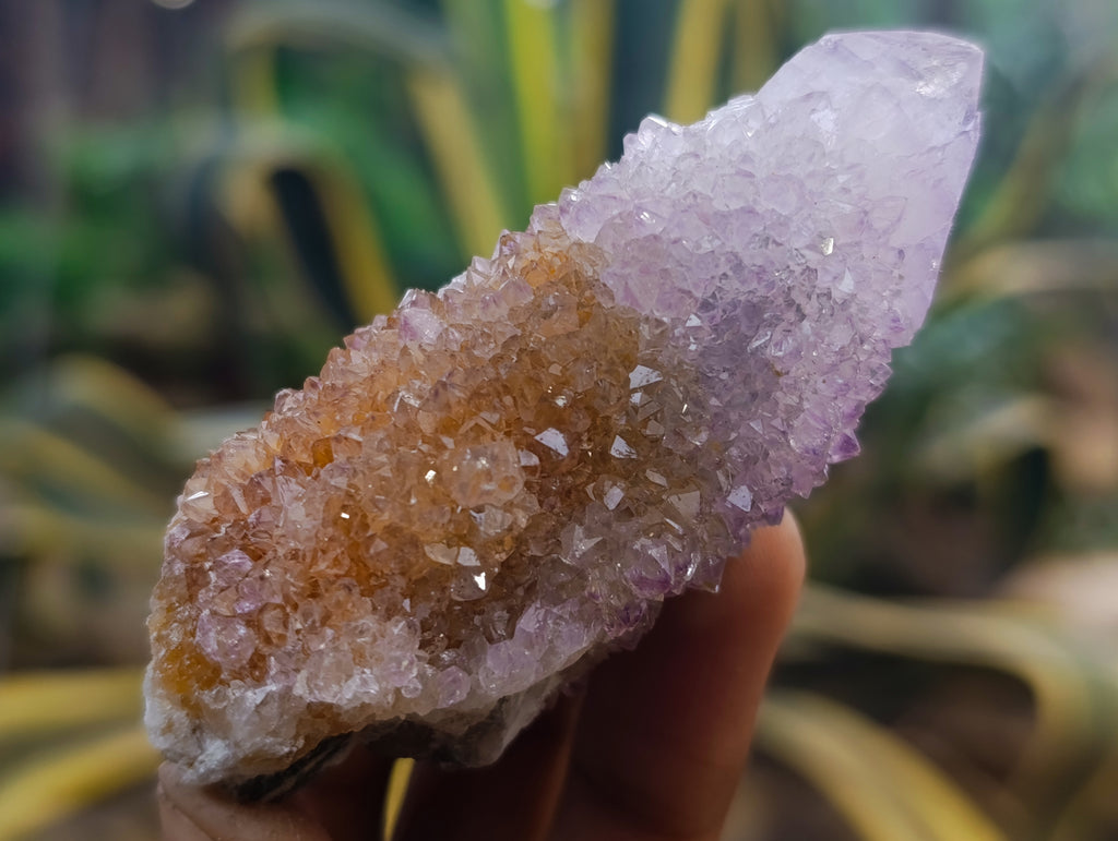 Natural Amethyst Spirit Quartz Clusters x 12 From Boekenhouthoek, South Africa - Toprock Gemstones and Minerals 