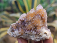 Natural Amethyst Spirit Quartz Clusters x 12 From Boekenhouthoek, South Africa