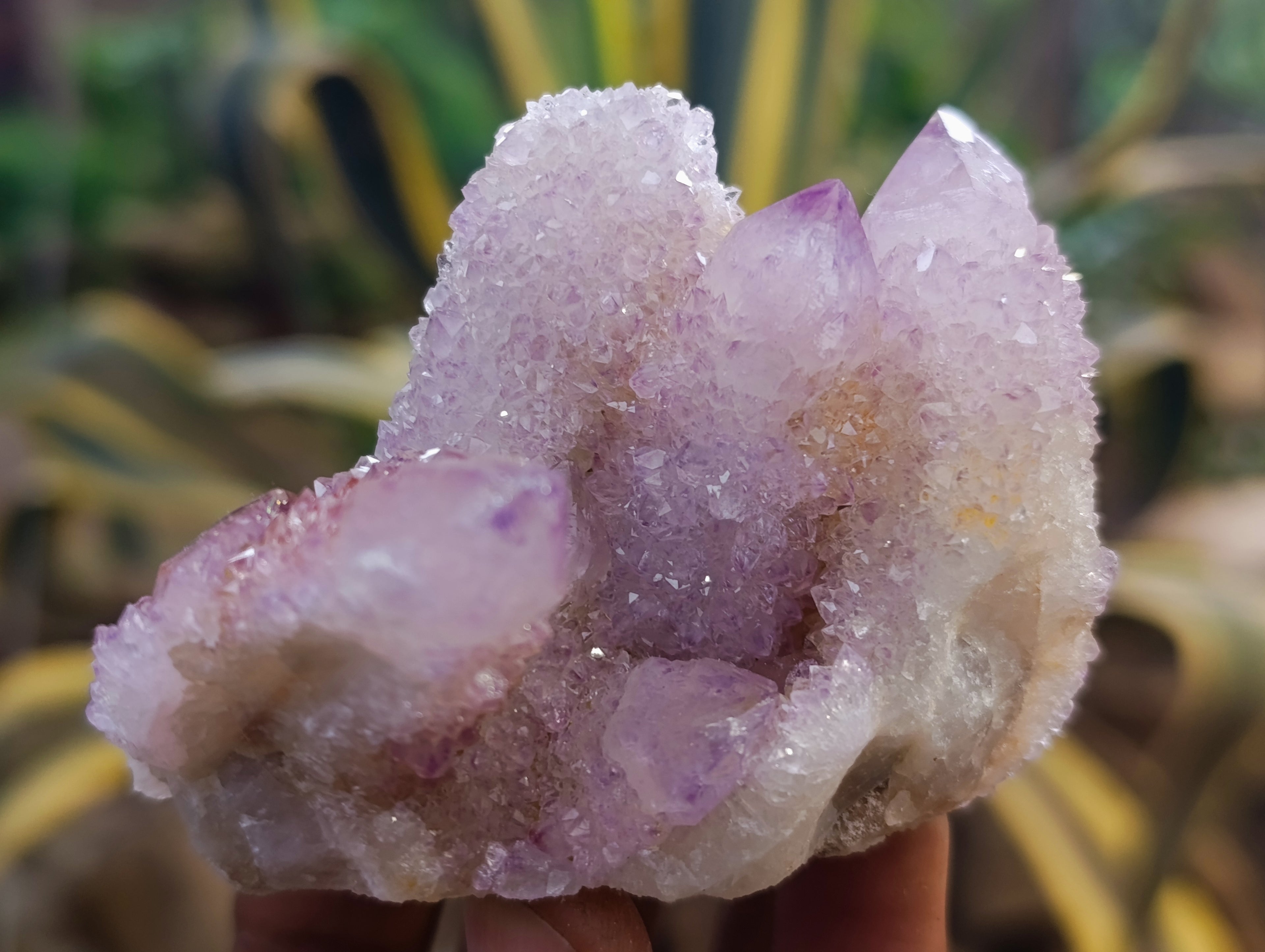 Natural Amethyst Spirit Quartz Clusters x 12 From Boekenhouthoek, South Africa - Toprock Gemstones and Minerals 