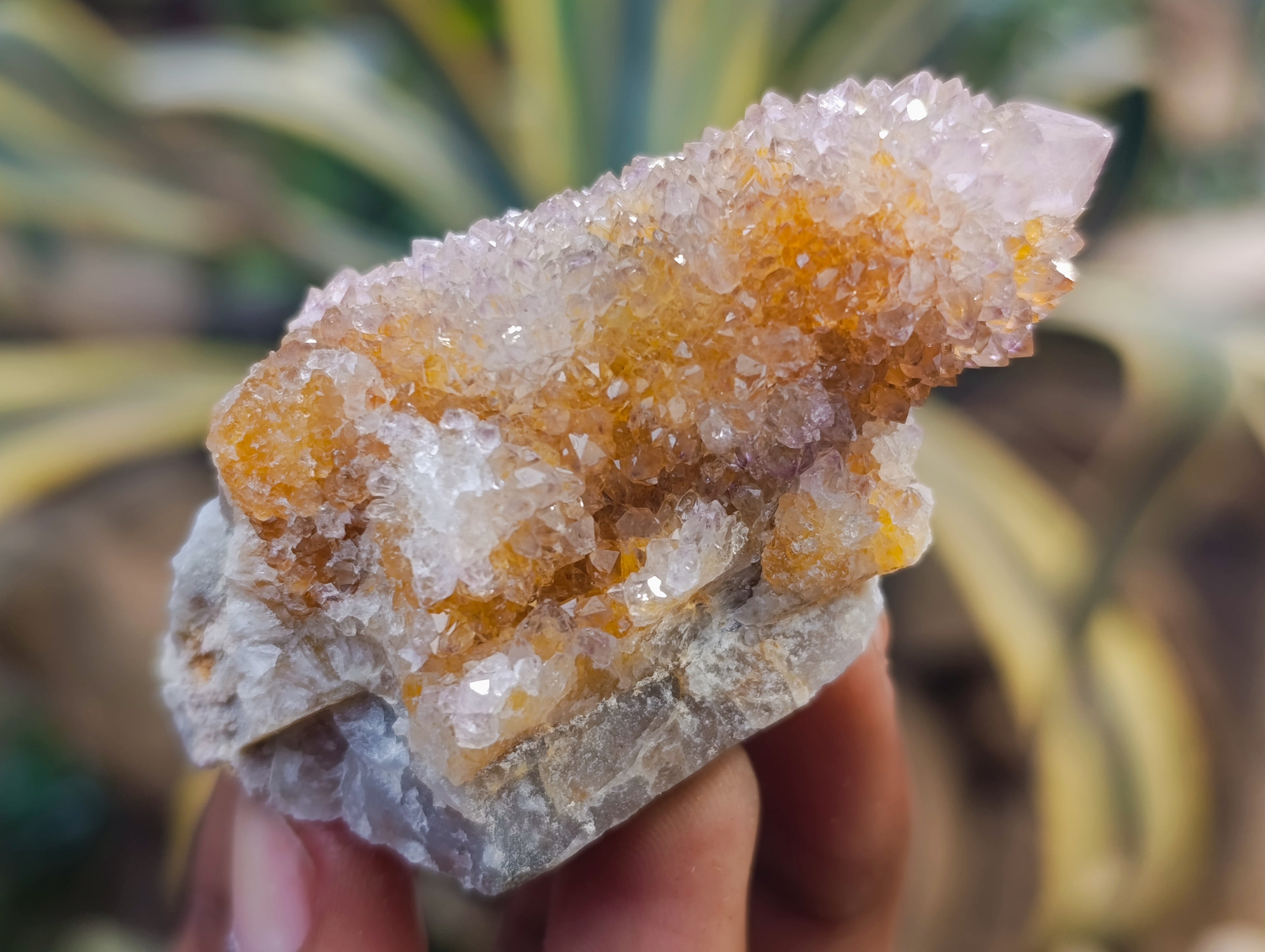 Natural Amethyst Spirit Quartz Clusters x 12 From Boekenhouthoek, South Africa - Toprock Gemstones and Minerals 