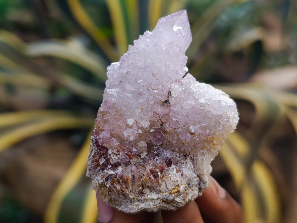 Natural Amethyst Spirit Quartz Clusters x 12 From Boekenhouthoek, South Africa - Toprock Gemstones and Minerals 