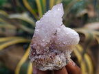 Natural Amethyst Spirit Quartz Clusters x 12 From Boekenhouthoek, South Africa - Toprock Gemstones and Minerals 