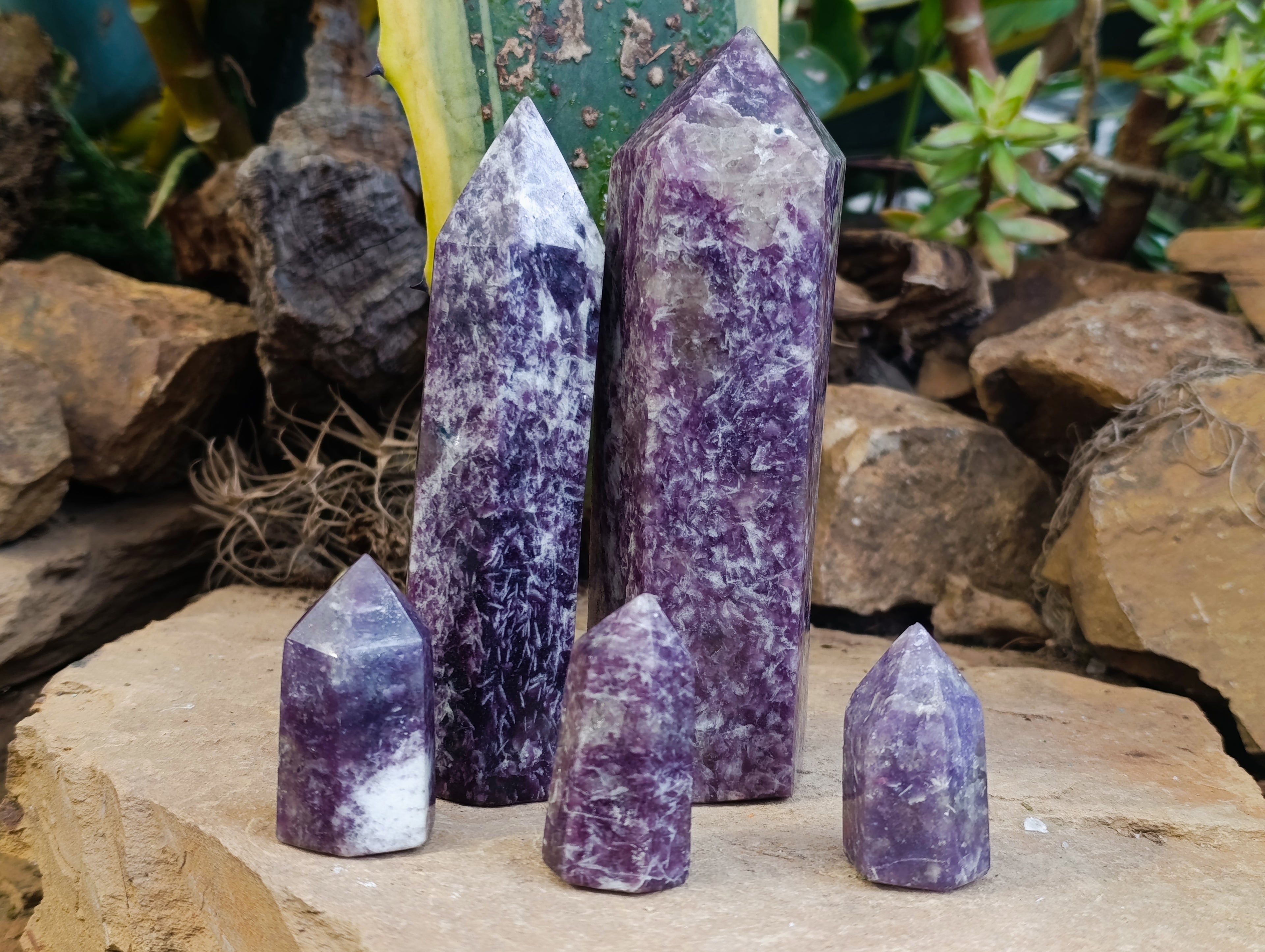 Polished Lepidolite with Pink Rubellite Points x 5 From Ambatondrazaka, Madagascar - Toprock Gemstones and Minerals 