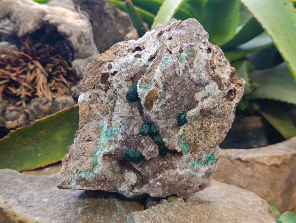 Natural Ball Malachite On Quartz Matrix Specimens x 1 From Kambove, Congo - Toprock Gemstones and Minerals 