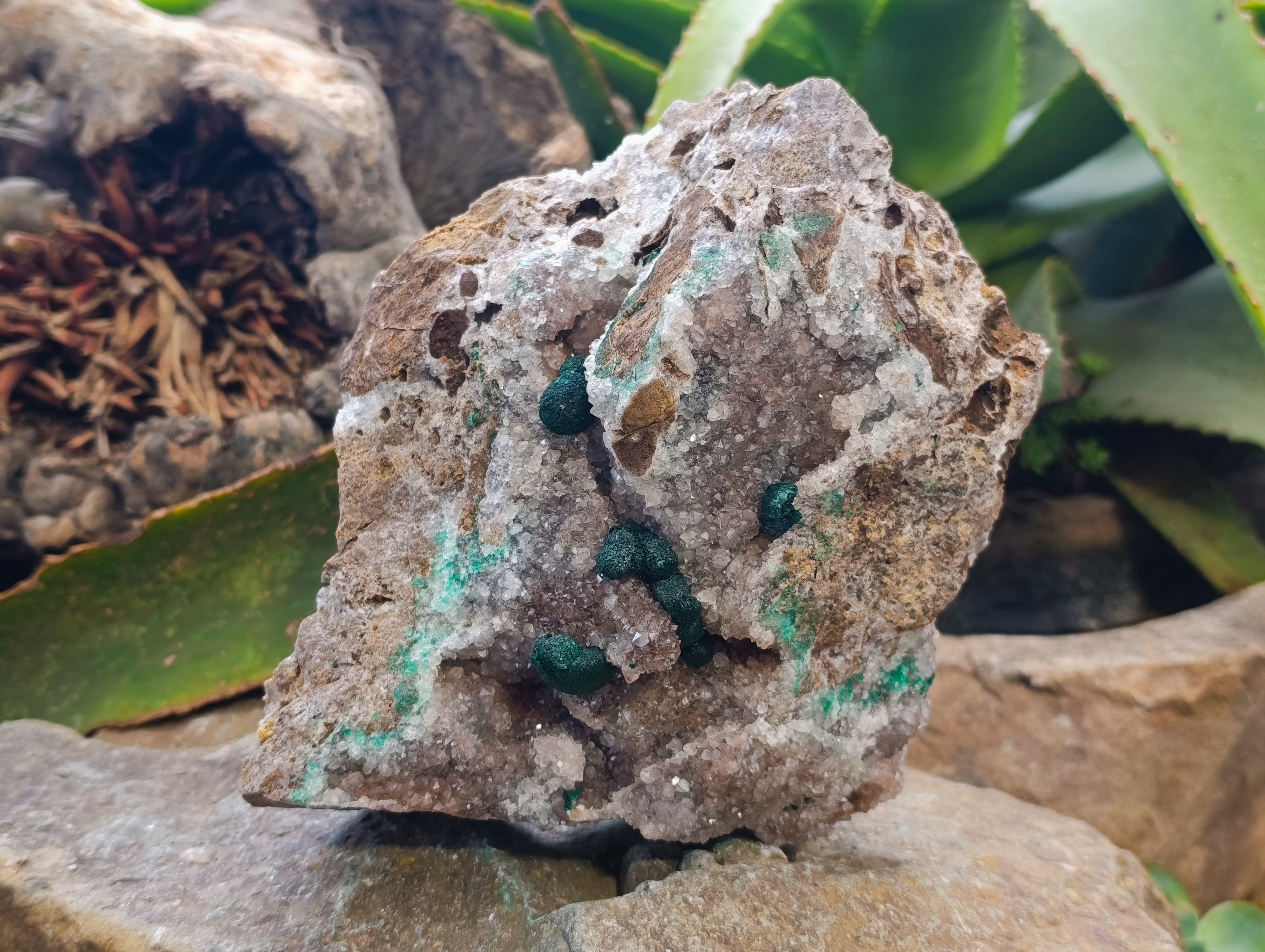 Natural Ball Malachite On Quartz Matrix Specimens x 1 From Kambove, Congo - Toprock Gemstones and Minerals 