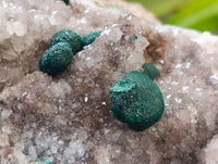 Natural Ball Malachite On Quartz Matrix Specimens x 1 From Kambove, Congo