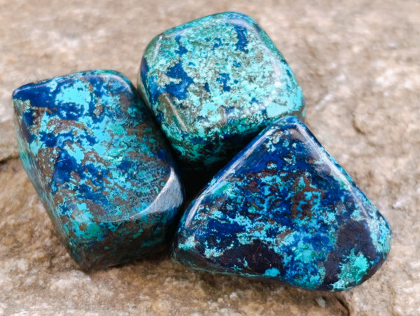 Polished Shattuckite with Azurite and Chrysocolla Tumbled Stones x 43 From Congo