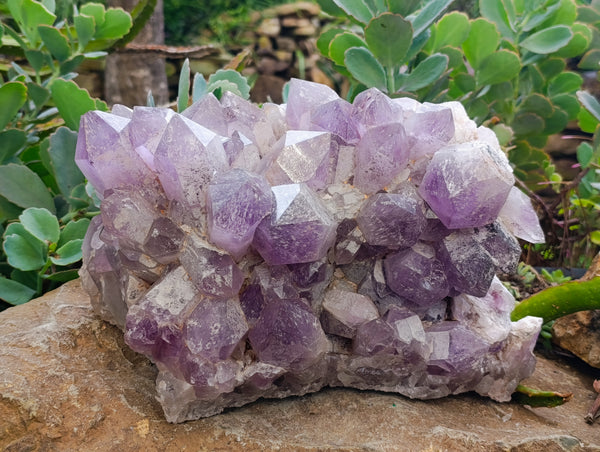 Natural Large Jacaranda Amethyst Quartz Cluster 1 x from Mumbwa, Zambia