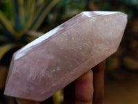 Polished Double Terminated Rose Quartz Points x 6 From Ambatondrazaka, Madagascar