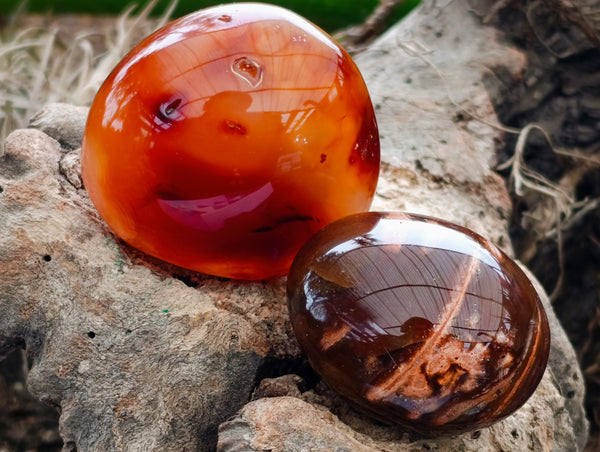 Polished Carnelian Agate Palm Stones x 12 From Madagascar