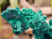 Natural Silky Malachite Specimens x 4 From Kasompe, Congo - Toprock Gemstones and Minerals 