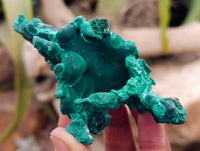 Natural Silky Malachite Specimens x 4 From Kasompe, Congo - Toprock Gemstones and Minerals 
