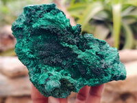 Natural Silky Malachite Specimens x 4 From Kasompe, Congo - Toprock Gemstones and Minerals 