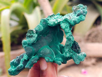 Natural Silky Malachite Specimens x 4 From Kasompe, Congo - Toprock Gemstones and Minerals 