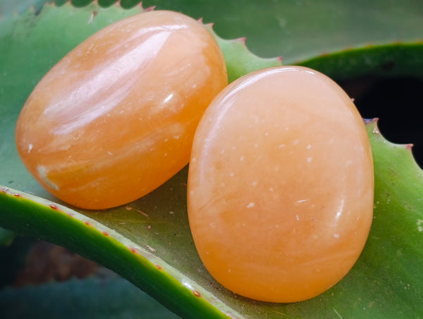 Polished Orange Twist Calcite Palm Stones x 12 From Maevantanana, Madagascar