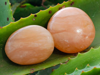 Polished Orange Twist Calcite Palm Stones x 12 From Maevantanana, Madagascar