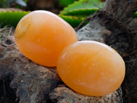 Polished Orange Twist Calcite Palm Stones x 12 From Maevantanana, Madagascar