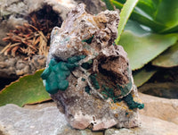 Natural Ball Malachite On Quartz Matrix Specimens x 1 From Kambove, Congo