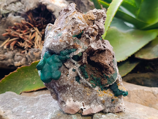 Natural Ball Malachite On Quartz Matrix Specimens x 1 From Kambove, Congo