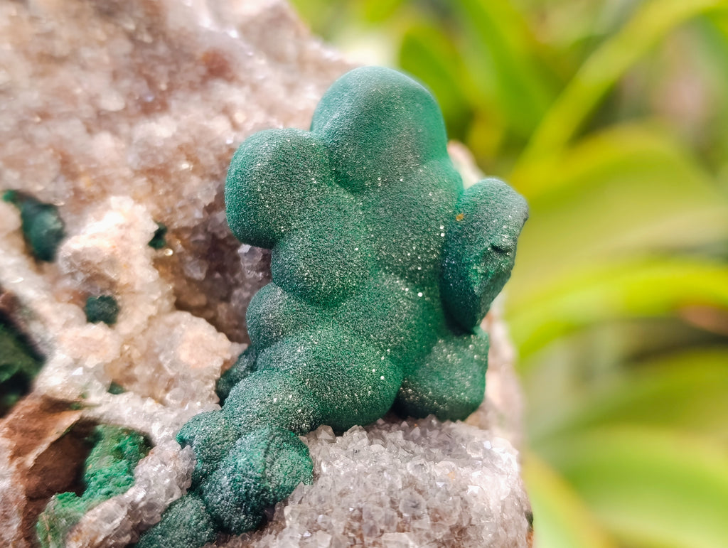 Natural Ball Malachite On Quartz Matrix Specimens x 1 From Kambove, Congo - Toprock Gemstones and Minerals 