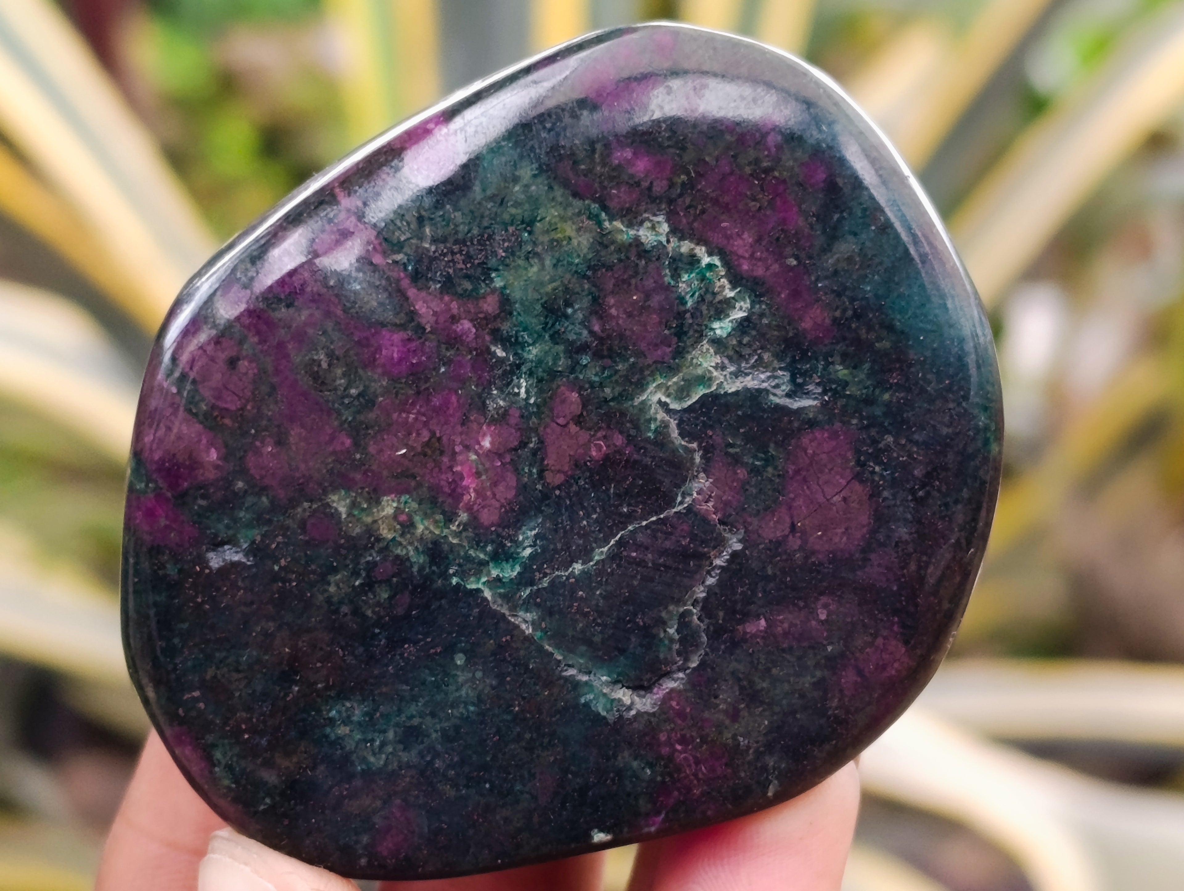 Polished Ruby Corundum In Chrome Verdite Free Forms x 6 From Zimbabwe - Toprock Gemstones and Minerals 