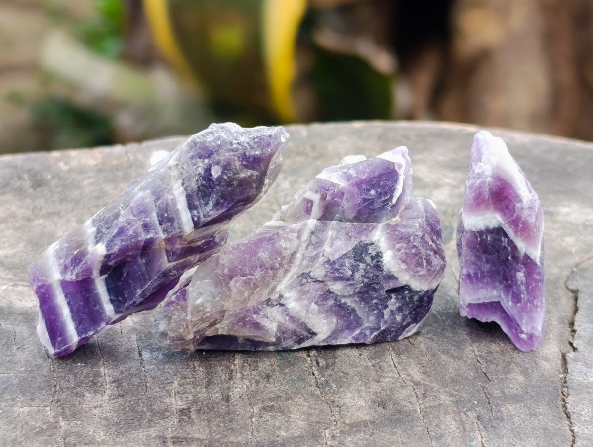 Natural Witches Hat Chevron Amethyst Crystals x 3.03 Kg Lot from Zambia - Toprock Gemstones and Minerals 