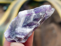 Natural Witches Hat Chevron Amethyst Crystals x 3.03 Kg Lot from Zambia