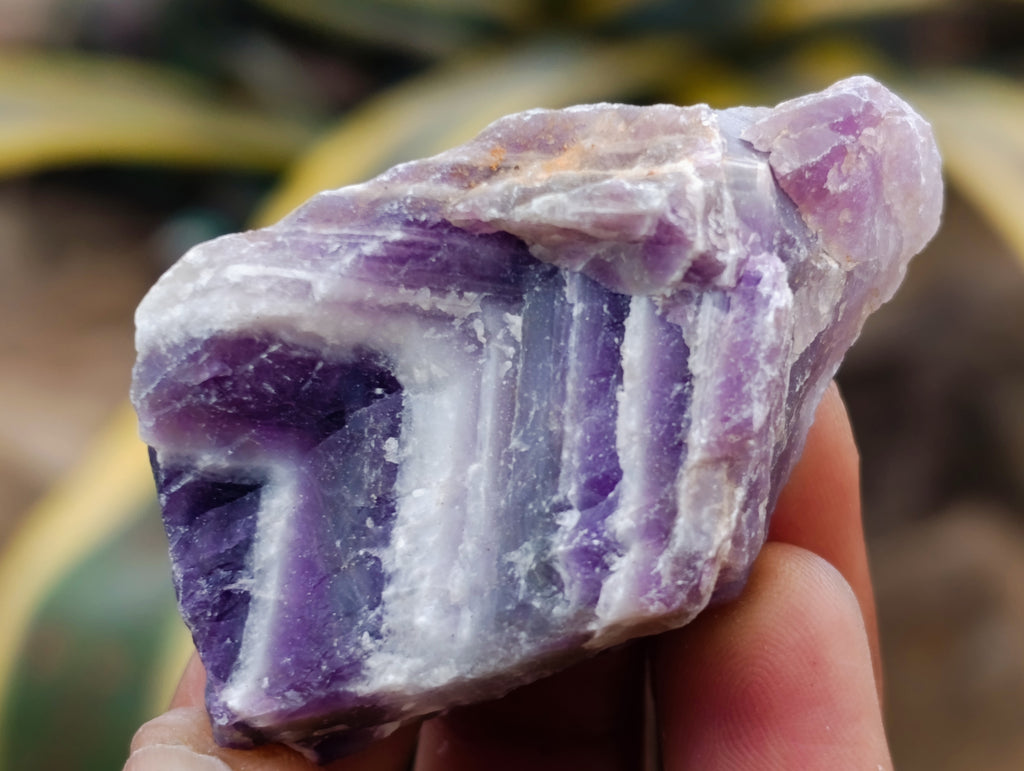 Natural Witches Hat Chevron Amethyst Crystals x 3.03 Kg Lot from Zambia - Toprock Gemstones and Minerals 