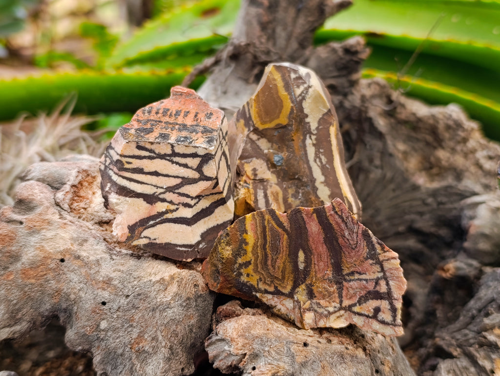Natural Nguni Jasper Cobbed Specimens x 29 From Prieska, South Africa - Toprock Gemstones and Minerals 