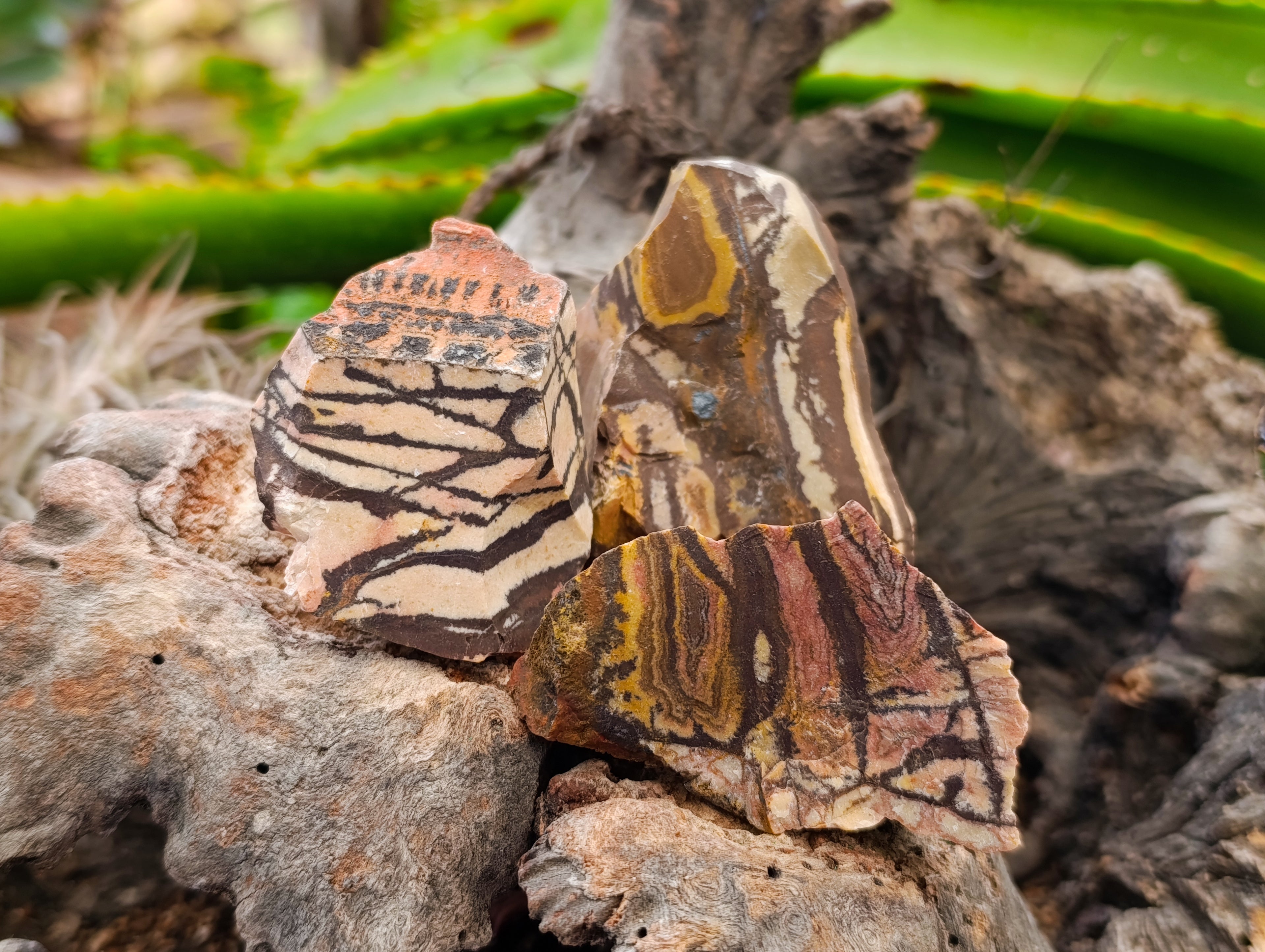 Natural Nguni Jasper Cobbed Specimens x 29 From Prieska, South Africa - Toprock Gemstones and Minerals 