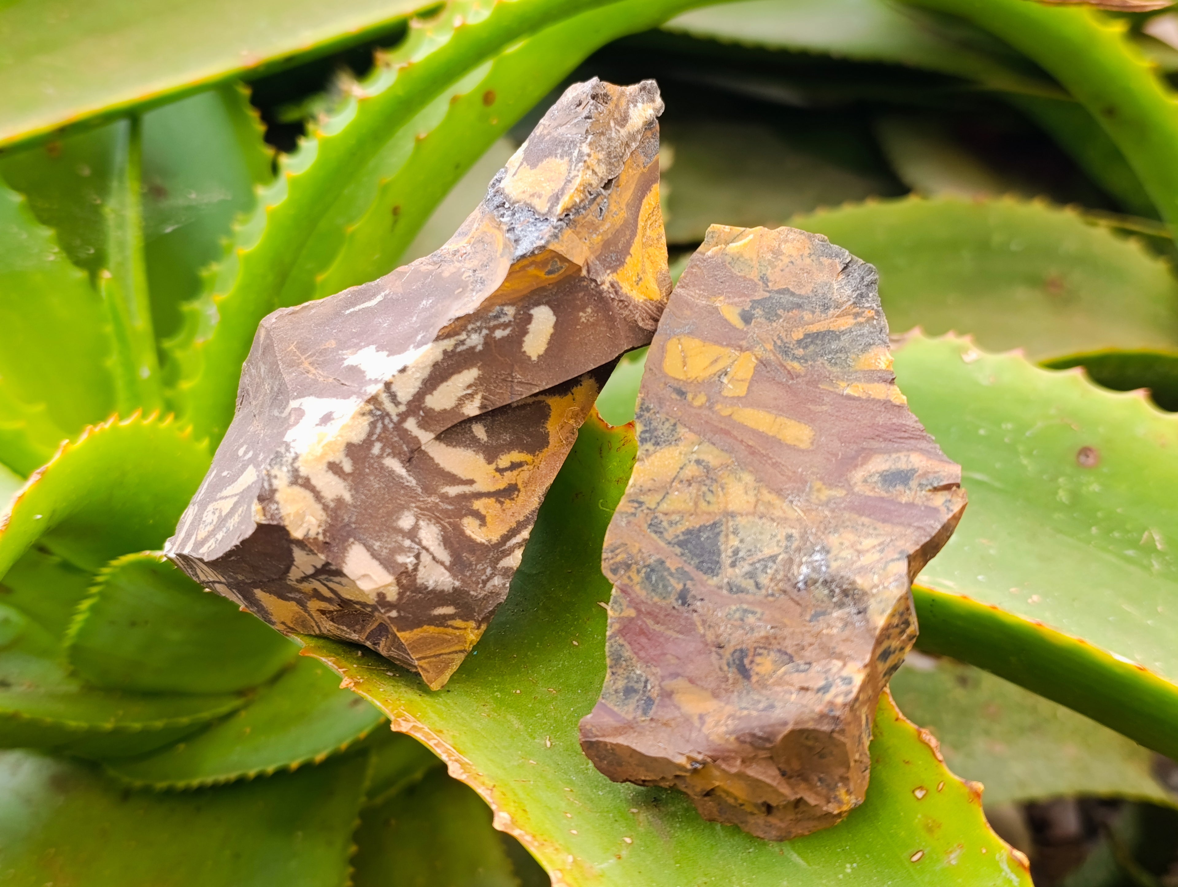 Natural Nguni Jasper Cobbed Specimens x 29 From Prieska, South Africa - Toprock Gemstones and Minerals 