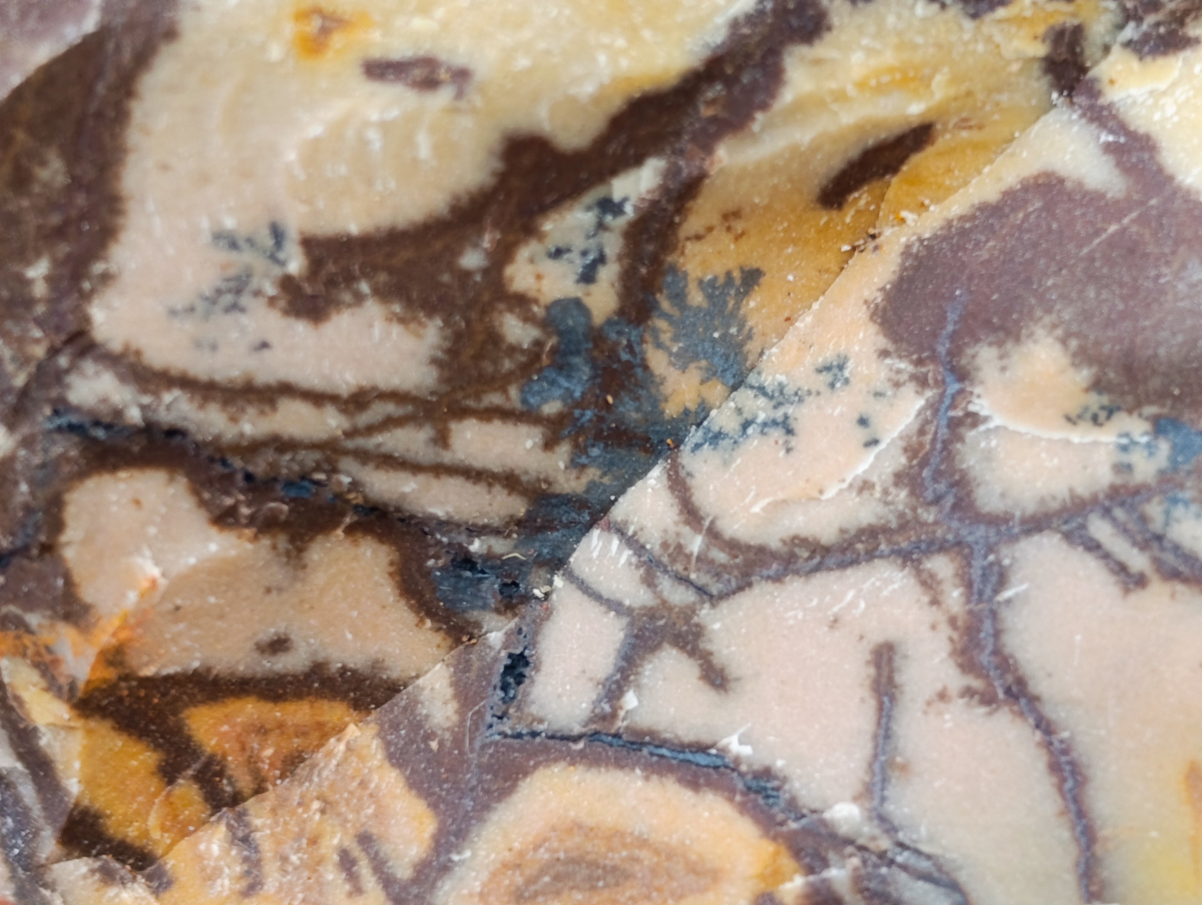 Natural Nguni Jasper Cobbed Specimens x 29 From Prieska, South Africa - Toprock Gemstones and Minerals 