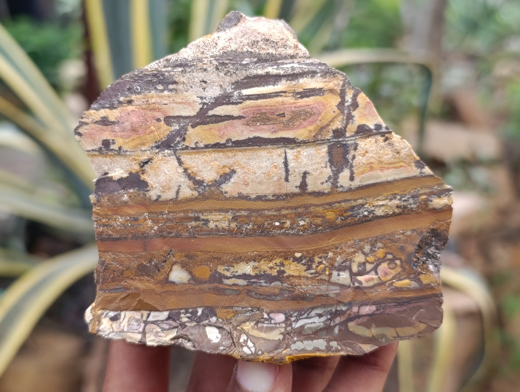 Natural Nguni Jasper Cobbed Specimens x 29 From Prieska, South Africa - Toprock Gemstones and Minerals 