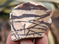 Natural Nguni Jasper Cobbed Specimens x 29 From Prieska, South Africa