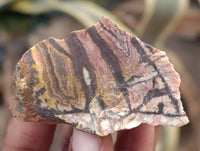 Natural Nguni Jasper Cobbed Specimens x 29 From Prieska, South Africa