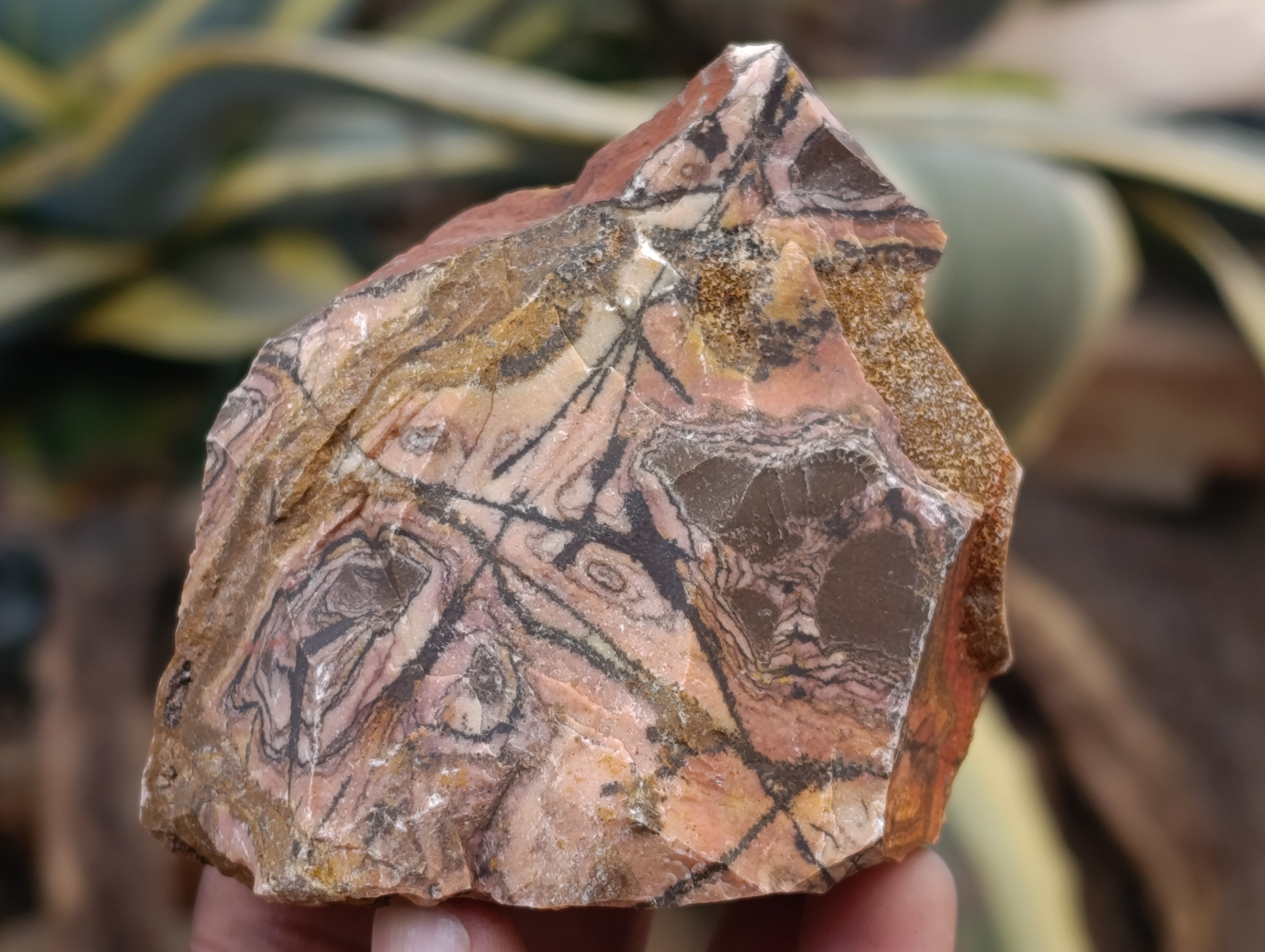 Natural Nguni Jasper Cobbed Specimens x 29 From Prieska, South Africa - Toprock Gemstones and Minerals 