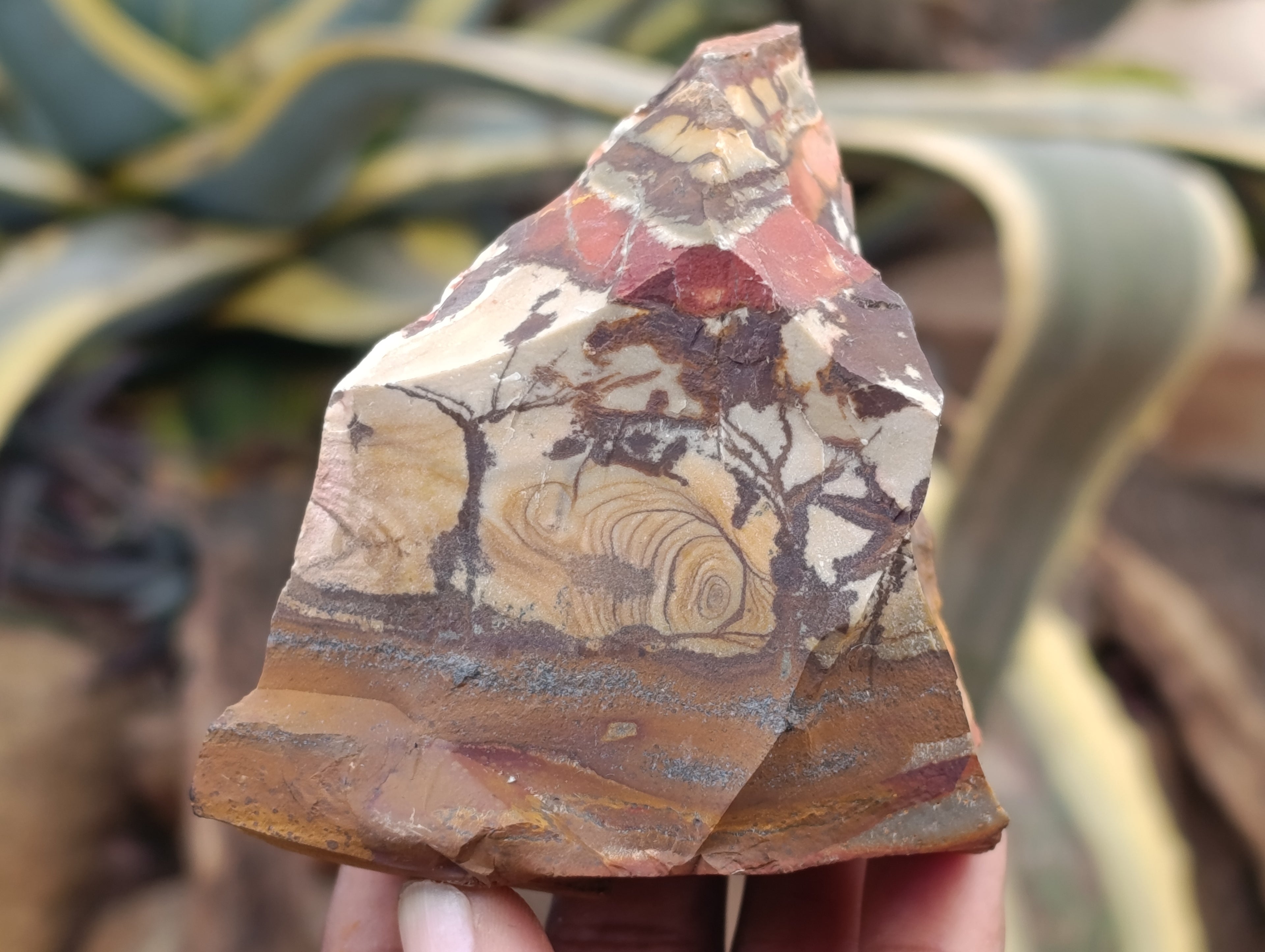 Natural Nguni Jasper Cobbed Specimens x 29 From Prieska, South Africa - Toprock Gemstones and Minerals 