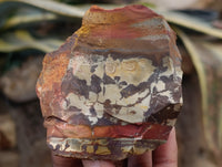 Natural Nguni Jasper Cobbed Specimens x 29 From Prieska, South Africa