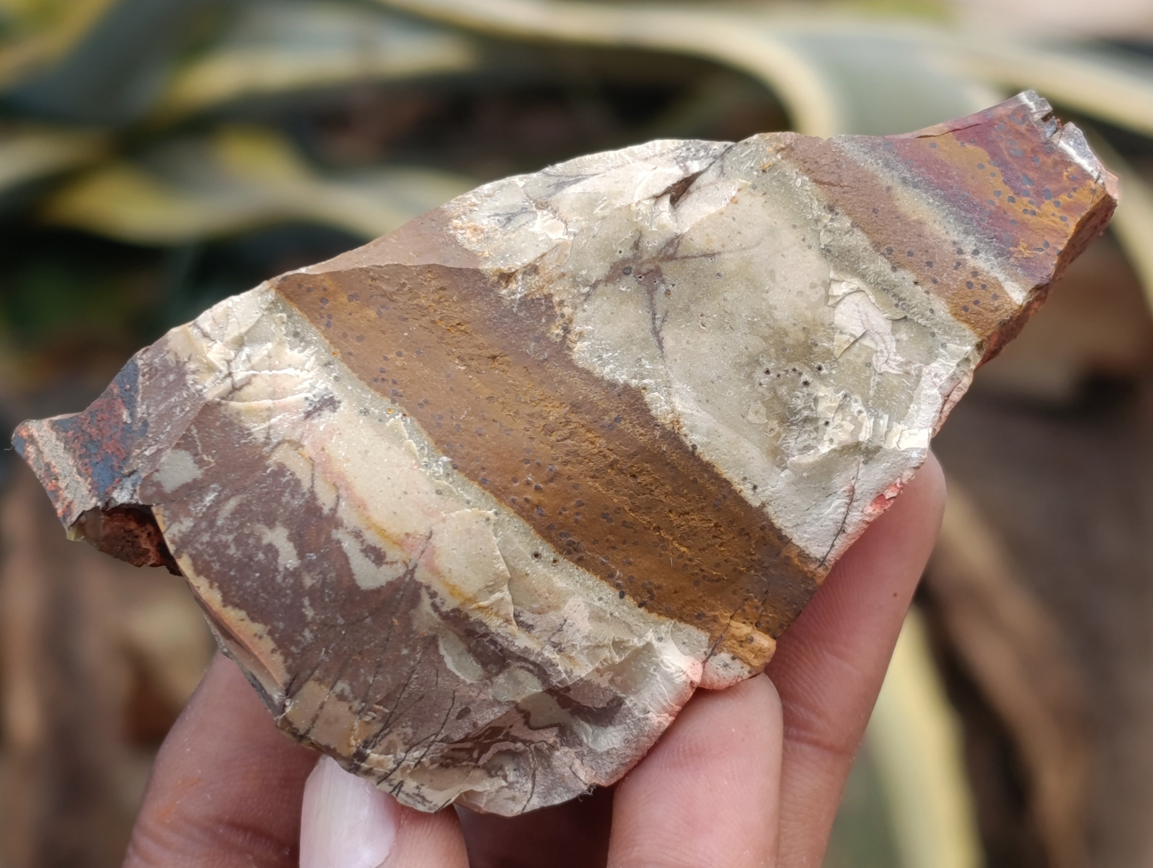 Natural Nguni Jasper Cobbed Specimens x 29 From Prieska, South Africa - Toprock Gemstones and Minerals 
