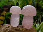 Polished Rose Quartz Mushrooms x 6 From Ambatondrazaka, Madagascar - Toprock Gemstones and Minerals 