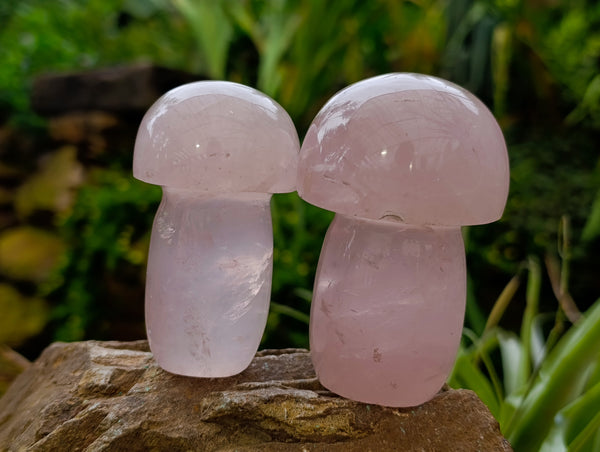 Polished Rose Quartz Mushrooms x 6 From Ambatondrazaka, Madagascar