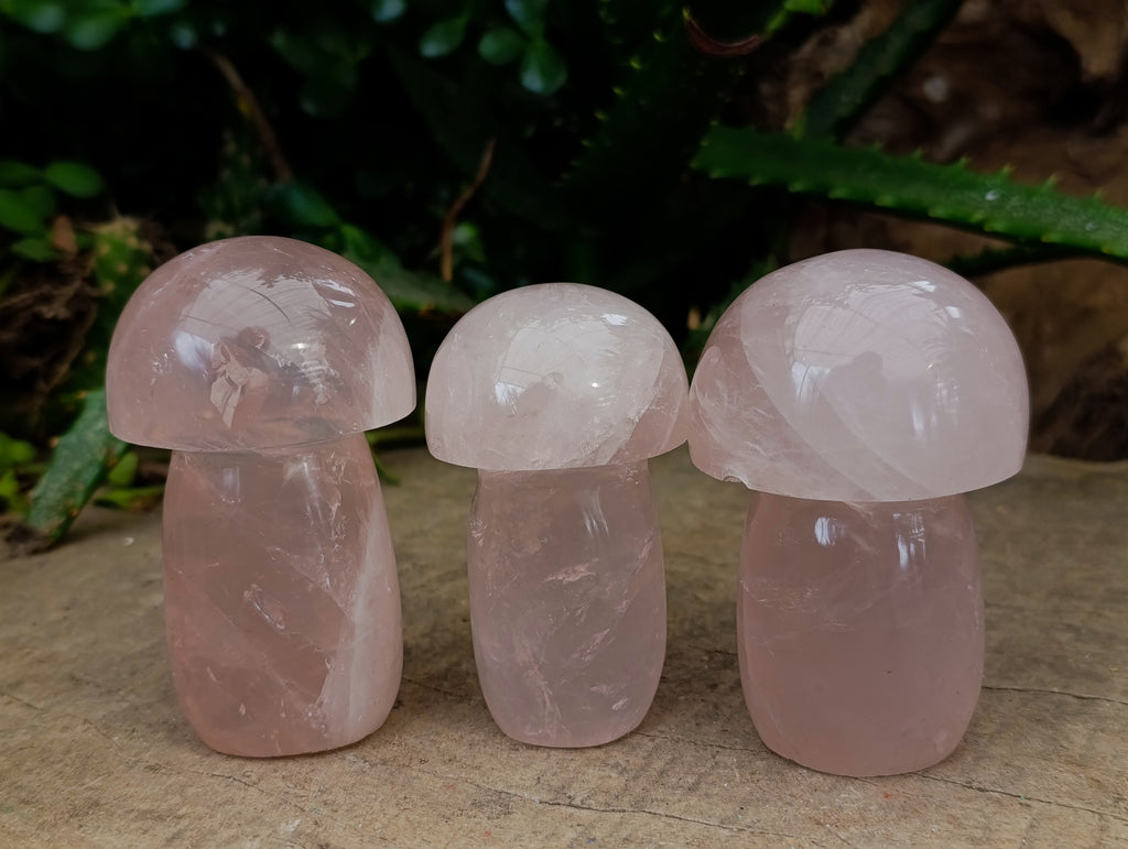 Polished Rose Quartz Mushrooms x 6 From Ambatondrazaka, Madagascar - Toprock Gemstones and Minerals 