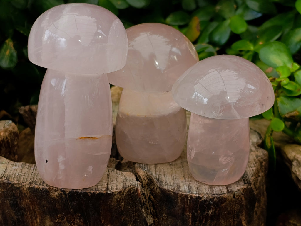 Polished Rose Quartz Mushrooms x 6 From Ambatondrazaka, Madagascar - Toprock Gemstones and Minerals 